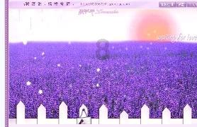 网友称《我就是这般女子》太好笑了，这部剧具体都有哪些笑点？